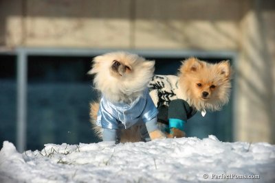 Dec4_07_438.jpg