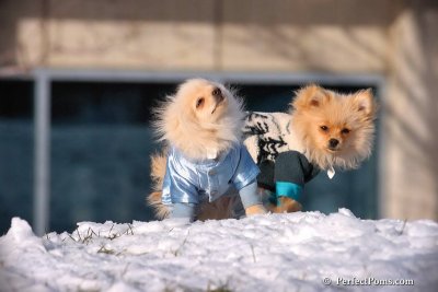 Dec4_07_439.jpg