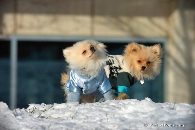 Dec4_07_441.jpg