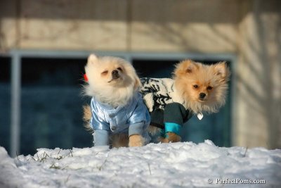 Dec4_07_442.jpg