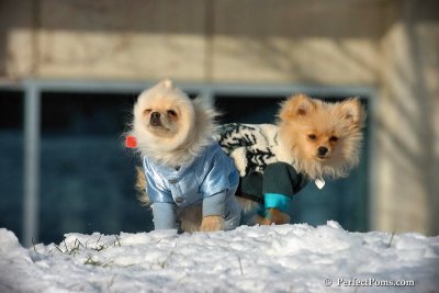 Dec4_07_443.jpg