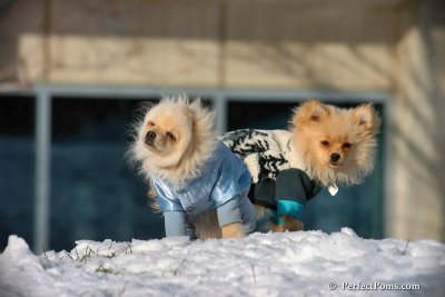 Dec4_07_444.jpg