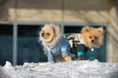 Dec4_07_445.jpg
