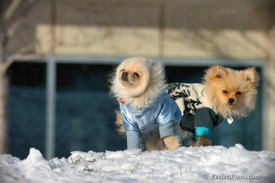 Dec4_07_446.jpg