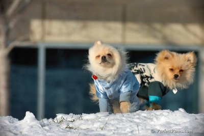 Dec4_07_447.jpg