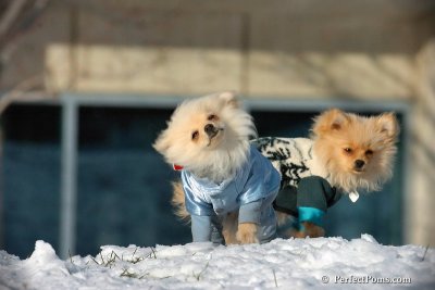 Dec4_07_448.jpg