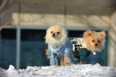 Dec4_07_449.jpg