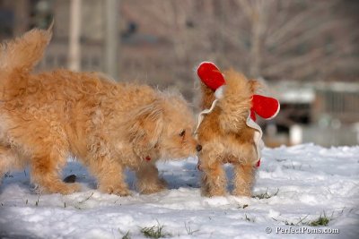 Dec4_07_451.jpg