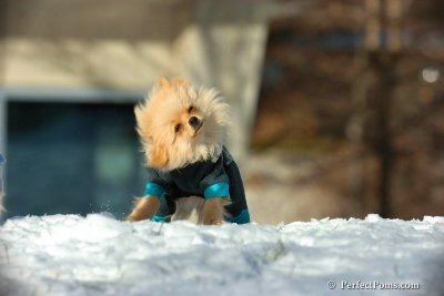 Dec4_07_452.jpg
