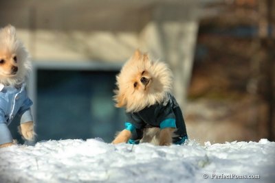 Dec4_07_453.jpg