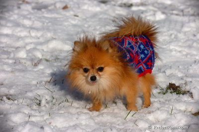 Dec4_07_458.JPG