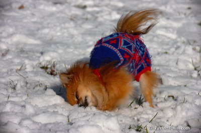 Dec4_07_459.JPG