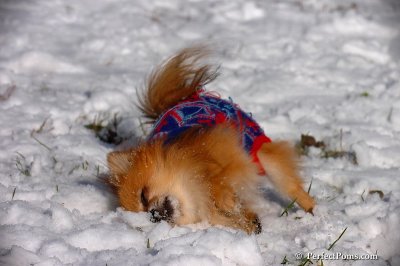 Dec4_07_460.jpg
