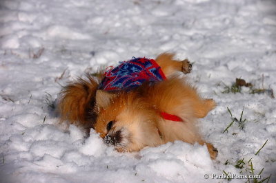 Dec4_07_461.jpg