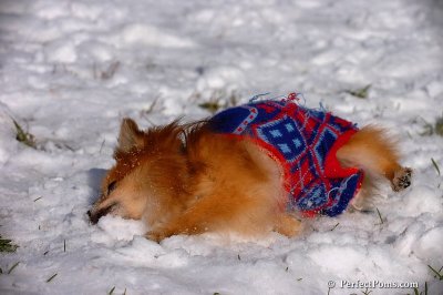 Dec4_07_462.jpg