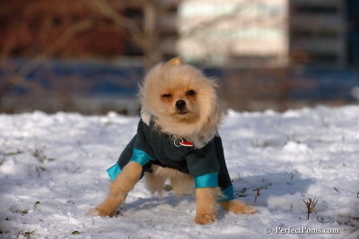 Dec4_07_467.jpg