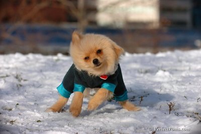 Dec4_07_468.jpg