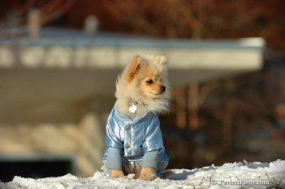Dec4_07_471.JPG