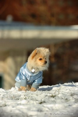 Dec4_07_472.JPG