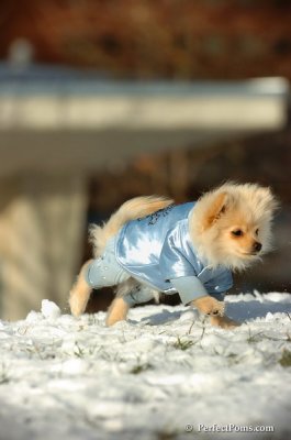 Dec4_07_474.JPG