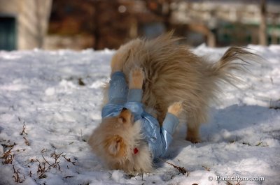 Dec4_07_475.JPG