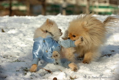 Dec4_07_477.jpg