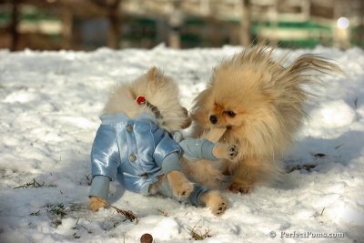 Dec4_07_478.jpg