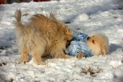 Dec4_07_481.JPG