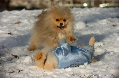 Dec4_07_483.JPG