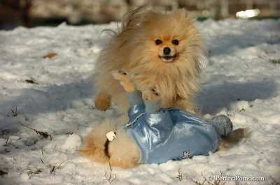 Dec4_07_484.JPG