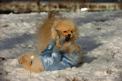 Dec4_07_485.JPG