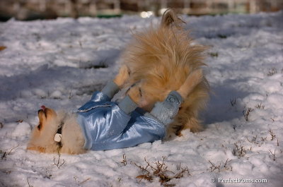 Dec4_07_486.JPG