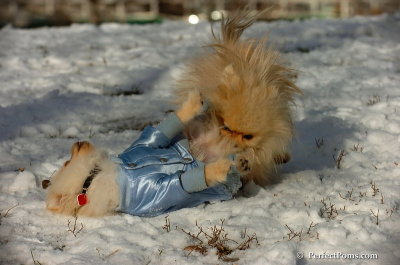 Dec4_07_487.JPG
