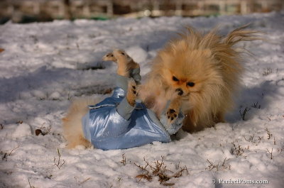 Dec4_07_488.JPG