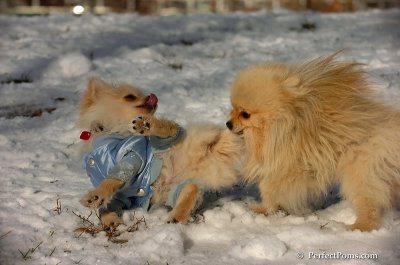 Dec4_07_493.JPG