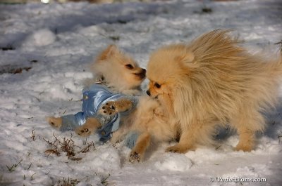 Dec4_07_494.JPG