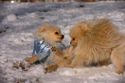 Dec4_07_495.JPG