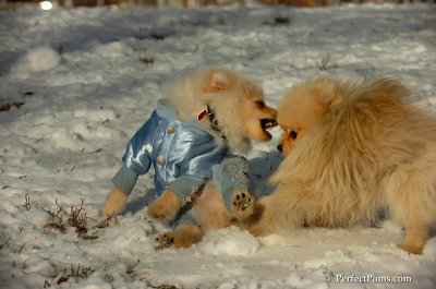 Dec4_07_496.JPG