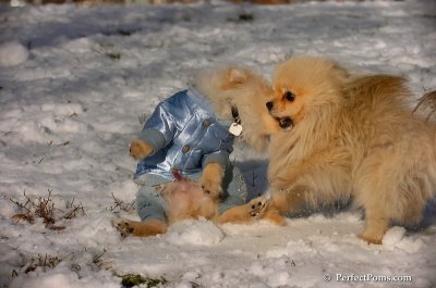 Dec4_07_497.JPG