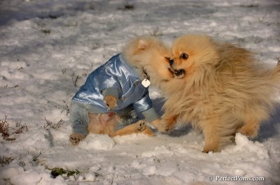 Dec4_07_498.JPG
