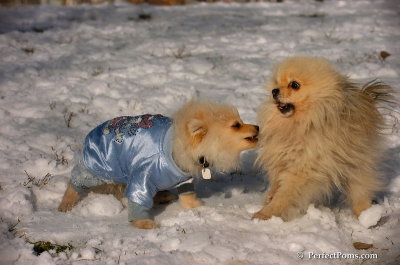 Dec4_07_499.JPG