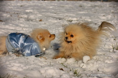 Dec4_07_503.JPG