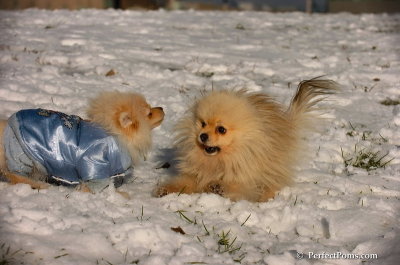 Dec4_07_504.JPG