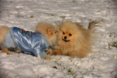 Dec4_07_505.jpg