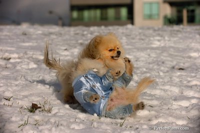 Dec4_07_509.JPG