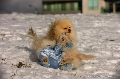 Dec4_07_510.JPG