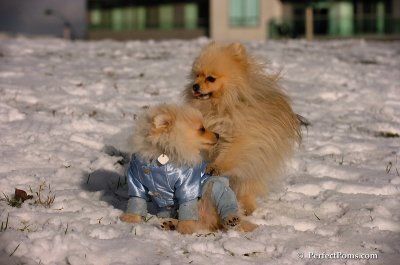 Dec4_07_513.JPG