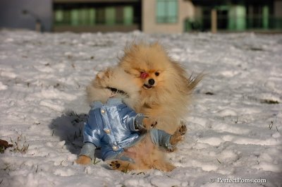 Dec4_07_514.JPG