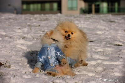 Dec4_07_515.JPG