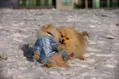 Dec4_07_516.JPG